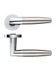 Atlanta Lever on Rose Door Handles Zoo Hardware - CPSN - 1