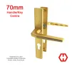 Hoppe Frankfurt Aluminium-Gold Handles 70mm PZ - 1