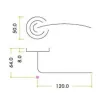 Assisi Lever on Rose Door Handles Zoo Hardware - SC - 2