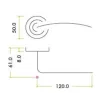 Florence Lever on Rose Door Handles Zoo Hardware - SC - 2