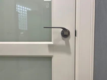 Las Vegas Lever on Rose Door Handles - Karcher SSS