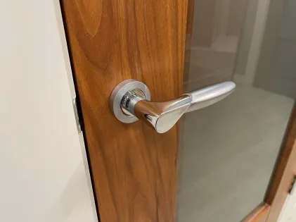 Orlando Lever on Rose Door Handles - Karcher SC/CP
